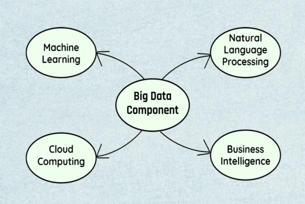 4-component-of-big-data